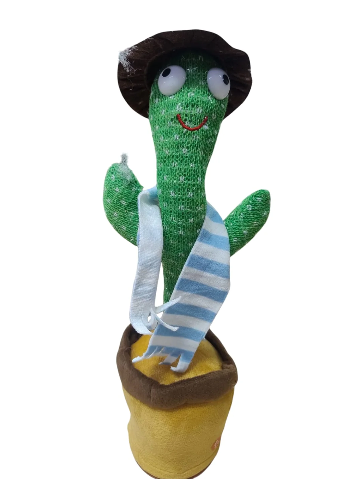 Cactus bailarín